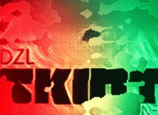 DZL Releases “SKINT”