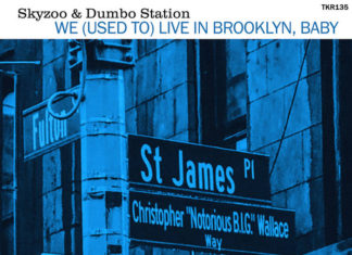 Skyzoo x Dumbo Station Drop “We(Used To)Live In Brooklyn, Baby”