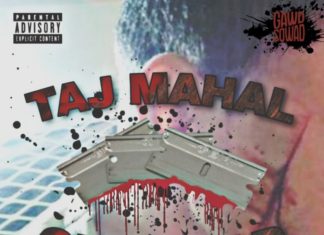 Taj Mahal Delivers “Gemstar”