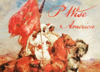 P Wise Releases “America”