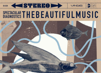 Spectacular Diagnostics Delivers “thebeautifulmusic”(Album)