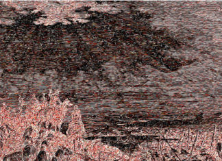 Defcee(ft. Davis)Drop Iceberg Theory Laced “Canaan”