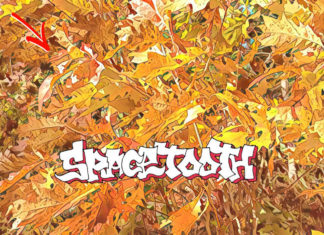 Spacetooth(Dynamo-P)Drops “Cozy Conditions Beat Tape”