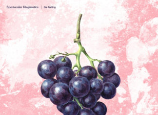 Spectacular Diagnostics Delivers “The Feeling”