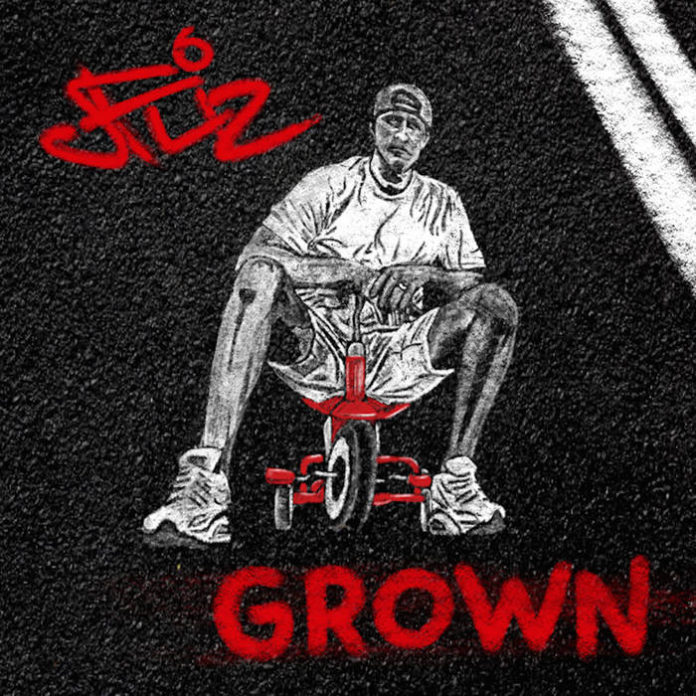 JFliz Grown album