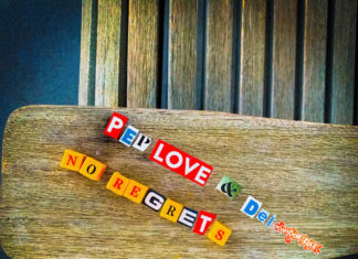 Pep Love x Del The Funky Homosapien Release “No Regrets”