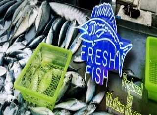 Mr.Ripley Drops Watkinz The General Laced “Fresh Fish”