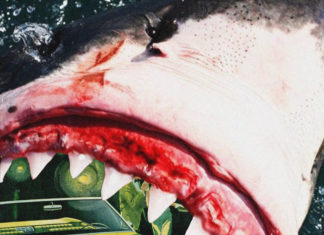 Big Kahuna OG x Monday Night Bite Into The “Shark Report”(Album)ft. 3WaySlim