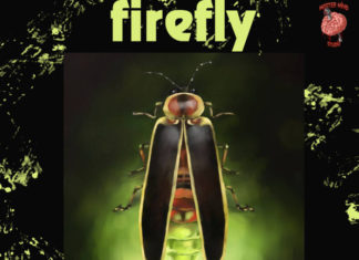 Enels Releases “Firefly”