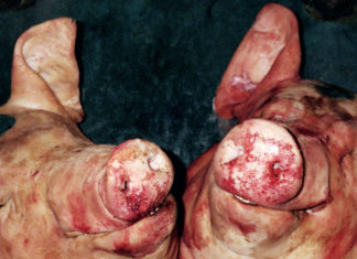 Armand Hammer x The Alchemist Drop “Sir Benni Miles”(Video)/”HARAM”(Album)