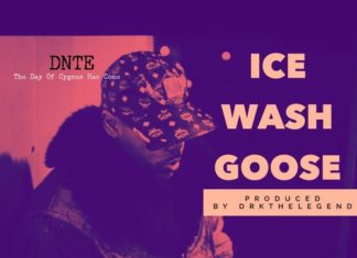 DNTE Delivers “Ice Wash Goose”