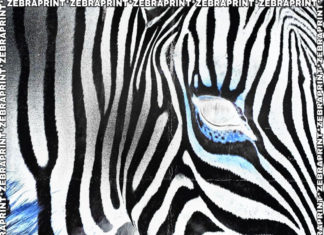 BumpsbyRa x Dango Forlaine(ft. Ronnie Alpha)Drop “Zebraprint”(Video)