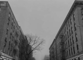 PremRock & Willie Green Release “Engraved Bouquet”