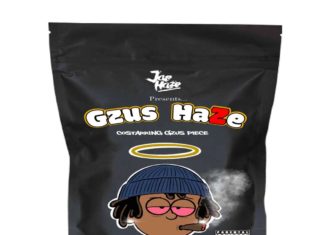 Gzus Piece & Jae Haze Drop “Gzus Haze”(LP)
