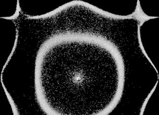 Madlib Releases “Loose Goose”(Video)