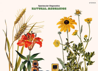 Spectacular Diagnostics Delivers “Alright”(ft. Immi Larusso) – (Video)/ “Medicinal Properties”