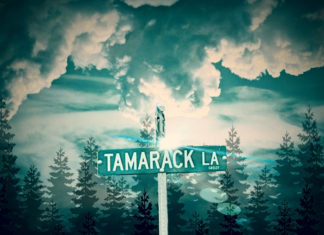 Poe Mack Drops “Tamarack Lane”(Album)ft. Napoleon Da Legend, Case Jaffa, Noah-O, etc.