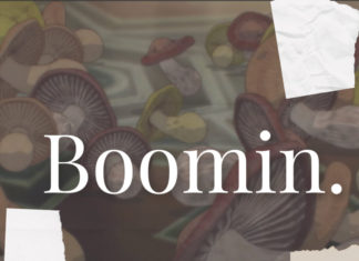 SINAI(Sleep Sinatra)Drops “BOOMIN.”(Album)