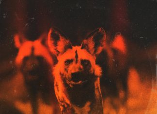 Pro Dillinger & Finn Deliver “Hunting Grounds”