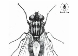 Badbelly x Feral Serge Release “Fanfiction”(Video/Audio)