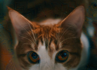 World Premiere: Stank Nitty Releases “Master Peace” (Official Video)