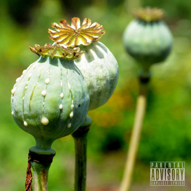 The Opioid Era Drop “Certified Dope Boyz”(EP)