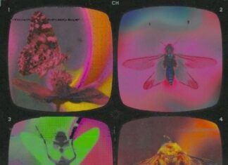 Certain.Ones Unleash “Growth Specimen”