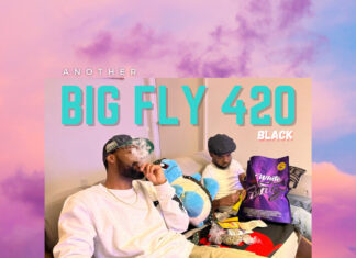Big Fly Deliver “Another Big Fly 420, Again”(EP)
