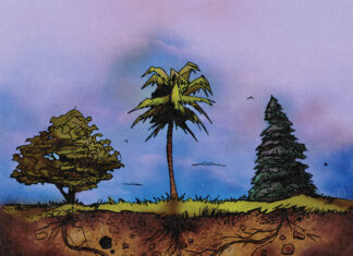 WateRR Releases “Truth & Falsehood Strangely Mixed”(EP)