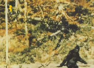 Your Old Droog x Madlib Drop “The Return Of Sasquatch”