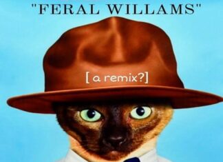 Feral Williams(aka)Feral Serge Drops “cash In Cash Out”