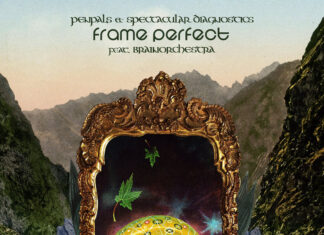 PENPALS & Spectacular Diagnostics(ft. Brainorchestra)Drop “Frame Perfect”