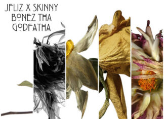 JFliz drops “Don’t Need Your Flowers” f/ M Doc Diego