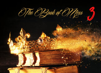 Whata Mess Drops “Up Down(Video)/”The Book Of Mess 3″(Album)