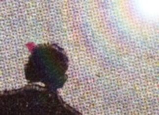 Certain.Ones Say “Now You See Me”