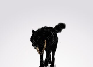Joe Sig x IM’PERETIV Deliver “Wolf In Designer Clothing”(ft. Hillside Hank)