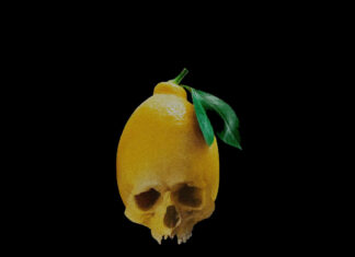 Grim Moses Drops “LCA”(Lemon Citric Acid) – Album(ft. Ca$ablanca, Muhreds, Funk Laurenovich)