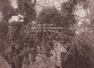 Quelle Chris & Cavalier Drop “Death Tape 1: Black Cottonwood”(Album)