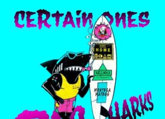 Certain.Ones x GeneralBackPain Release “Big Sharks”