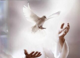 Lord Luminous Releases “angel bowls” x “spirit of truth”