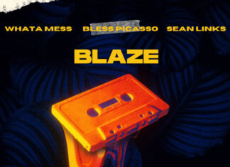 Whata Mess x Bless Picasso x Sean Links Set A “Blaze”