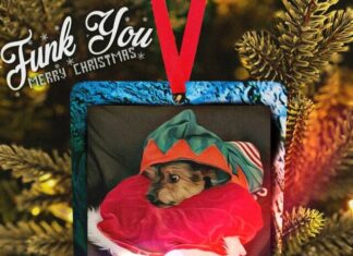 Rhinoceros Funk Drops “Funk You, Merry Christmas”(Album)