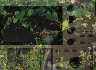 Dialog Delivers “A Castle Of Green And Yellow Leaves”