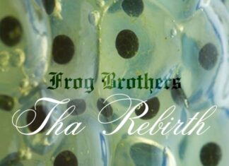 Frog Brothers Release “The Rebirth”