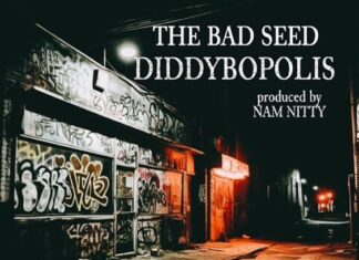 The Bad Seed Delivers Diddybopolis”(Video)
