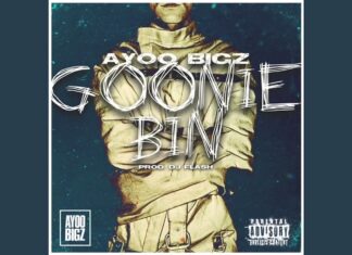 AYOO BIGZ x DJ Flash Unleash “Goonie Bin”