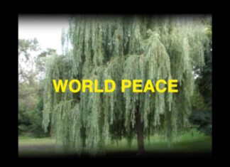 DJ Muggs x Raz Fresco Release “World Peace”(Video)