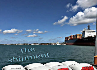 Mr. Ripley x Sauce Yin x Gustavo Louis Deliver “The Shipment”