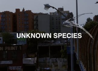 Kurious Delivers “Unknown Species”(Video)