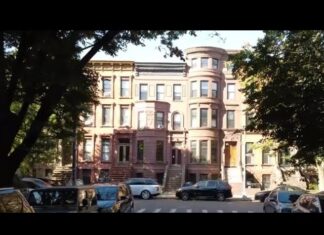 Timbo King x Ras Ceylon x Dawit Justice drop “Brownstonez”